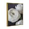 Stupell Industries Budding Ranunculus Flower Blooming Framed Floater Canvas Wall Art